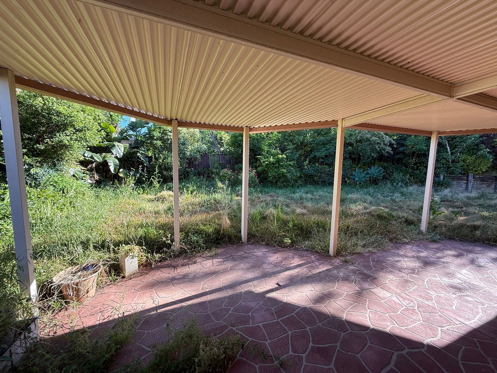 Native Garden Planting — Willoughby NSW