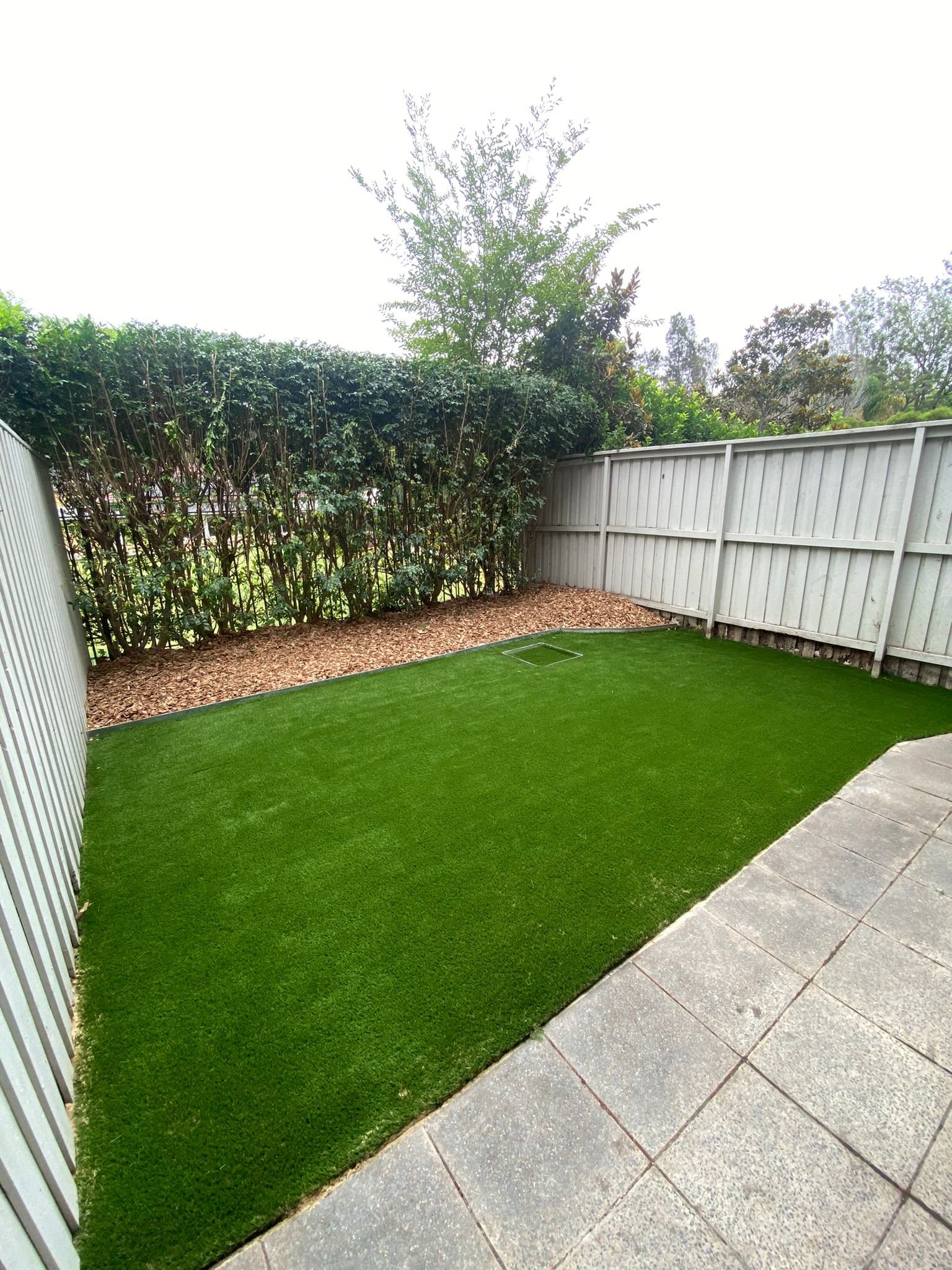Lawn Install — Hunters Hill NSW